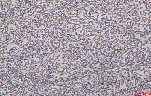 Cobalt-Chromium-Tungsten Alloy Materials